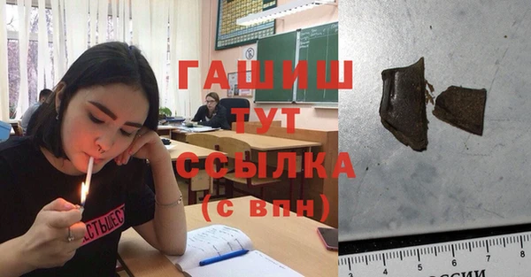 крисы Алзамай