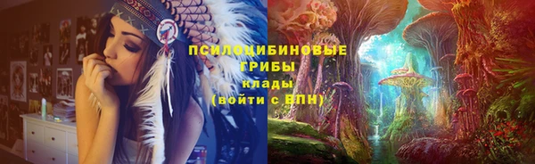 крисы Алзамай